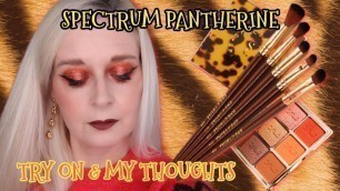 'Trying the Spectrum Pantherine Palette & Brushes | Debbie Does December 