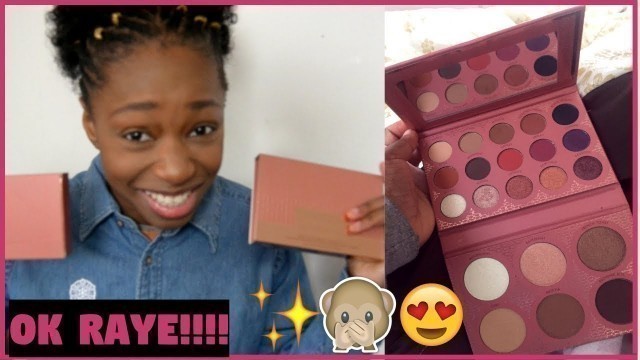 'BH Cosmetics ItsMyRayeRaye Palette Unboxing| Broke Girl Edition'