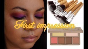 'First impression makeup: WISH brush set and brow pencil, BH COSMETICS Nude Rose'