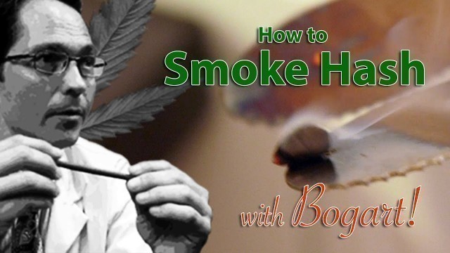 'How to Smoke Hash Marijuana Tips & Tricks w/ Bogart #17'