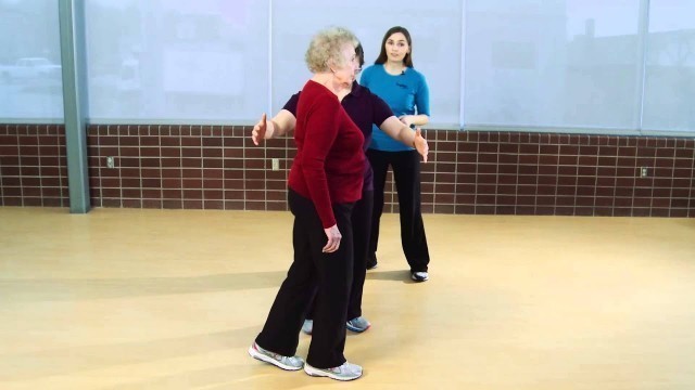 'Prevent Senior Falls: Assessment & Balance Exercises'