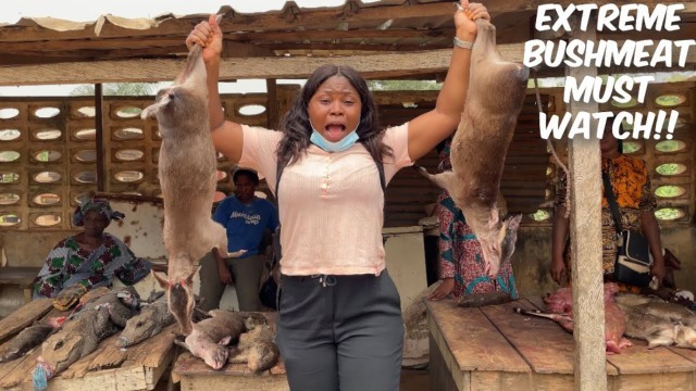 'SHOCKING: Extreme bushmeat at the Nigerian wild animal market Ft African tigress x Virtue Grace'