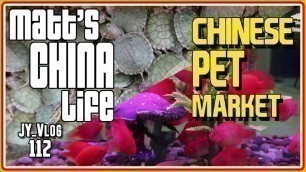 'CHINESE PET & PLANT MARKET | MATT\'S CHINA LIFE'