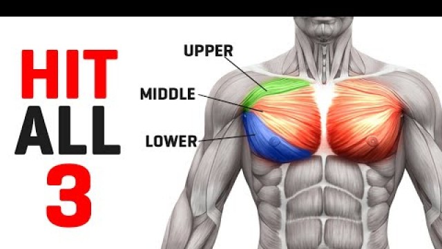 'Fully Develop your Chest with this Routine! (Sets & Reps Included!)'