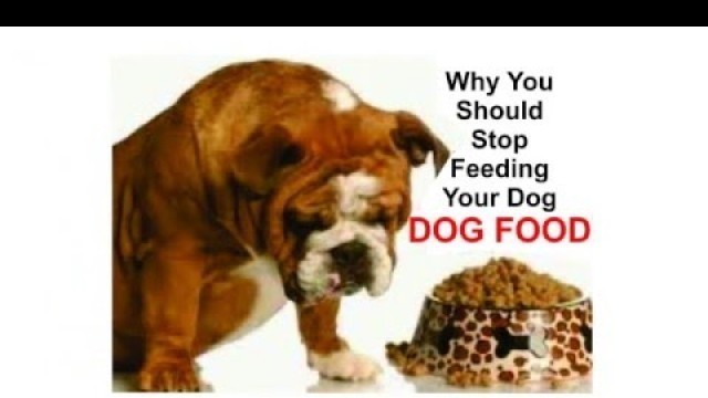 'dog foods secrets RICK ROSS DOG FOOD'