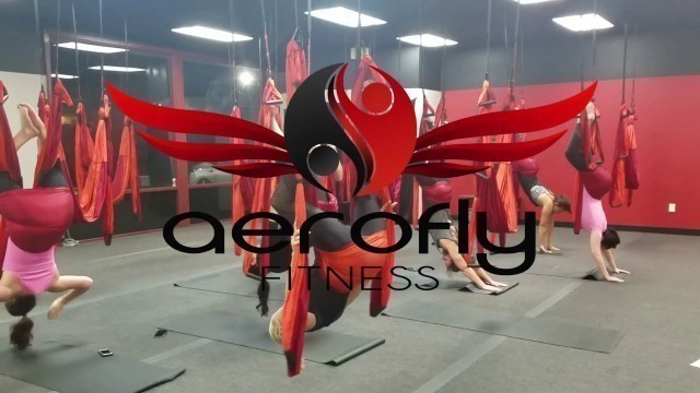 'Aerofly Fitness - Home of the Bungee Workout, Aerial Yoga Trapeze & AeroKids Zone'