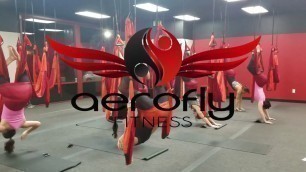 'Aerofly Fitness - Home of the Bungee Workout, Aerial Yoga Trapeze & AeroKids Zone'