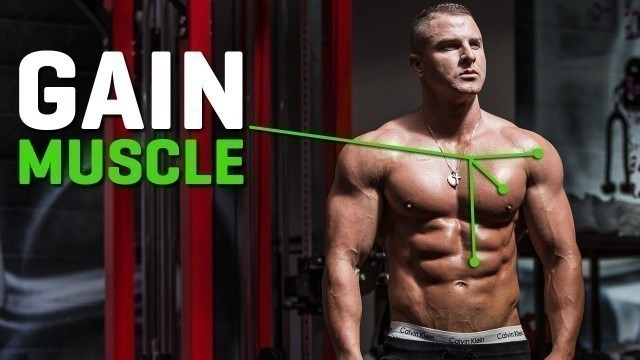 '6 Tips for Gaining Muscle FAST!'