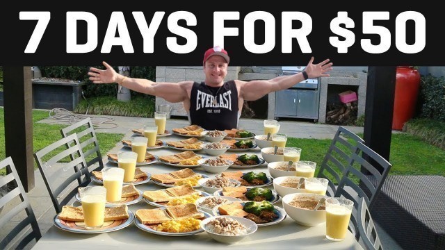 '$50 FOR A FULL WEEK OF BULKING + VLOG!'