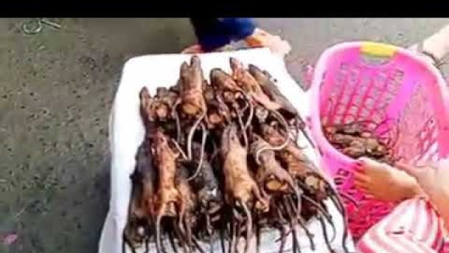 'Animal food market in China.'