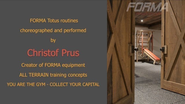 'Swedish Ladder/Stall Bars + Gymnastic Rings + Pull Up Bar + Bungee Cords = FORMA Totus'