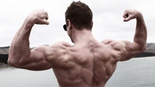 'BACK WORKOUT | JOSEF RAKICH'