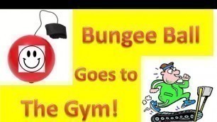 'Bungee Ball Goes to The Gym'