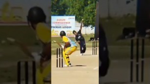 '3sixes#cricket #pcb #india #pakistani#highlights  #australia#fitness #league#brazil'