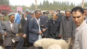 'KASHGAR - FAMOUS SUNDAY ANIMAL MARKET'