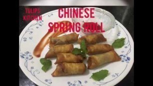 'Chinese Spring Roll Recipe! (Tamil)'