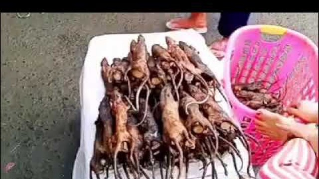 'Exotic animal meat of china’s maketplace/ coronavirus'