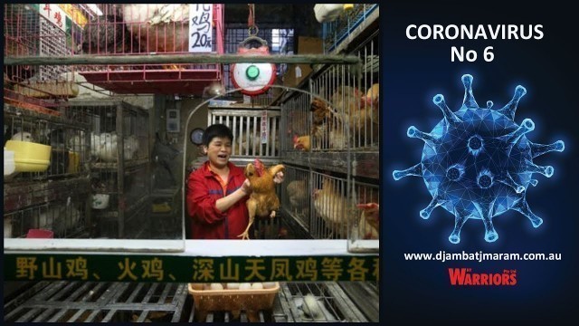 'CORONAVIRUS No 6 Yolngu Matha: Waanga Animal Market China (with English subtitles)'