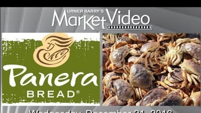 'Panera Bread to Improve Animal Welfare; Record Markets for Turkey; China Bans Dungeness Crab'