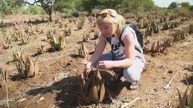 'LAIKIPIA PERMACULTURE CENTRE, PRI KENYA & LUSH COSMETICS'