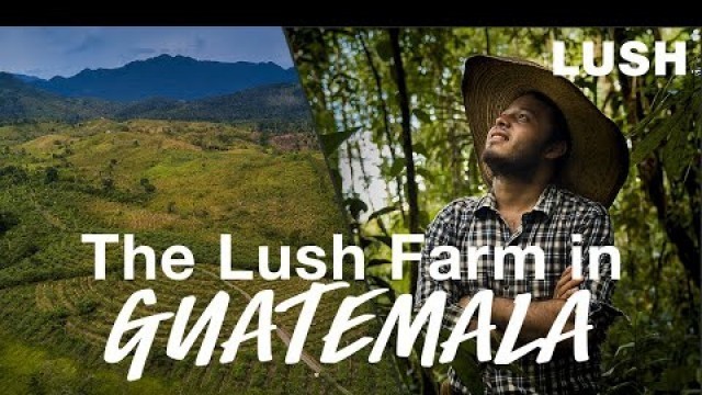 'Lush Cosmetics: Investing in Regenerative Farming'