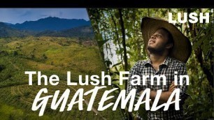 'Lush Cosmetics: Investing in Regenerative Farming'