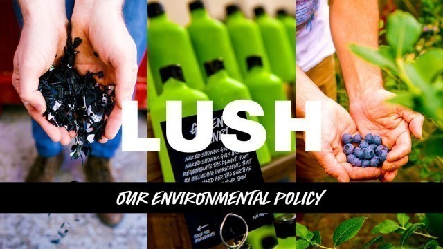 'Lush Cosmetics - Our Environmental Policy'