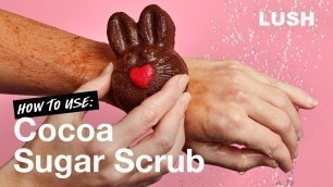 'Lush How to Use: Cocoa Sugar Scrub'