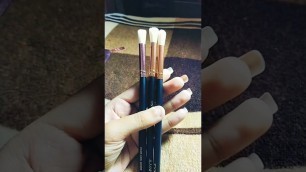 'Affordable makeup brushes || zoeva brushes || #shorts #blushwithmonika'