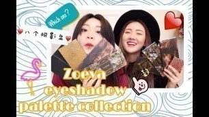 'Zoeva eyeshadow palette collection | 一口气试色八盘Zoeva  | 刷色地狱'