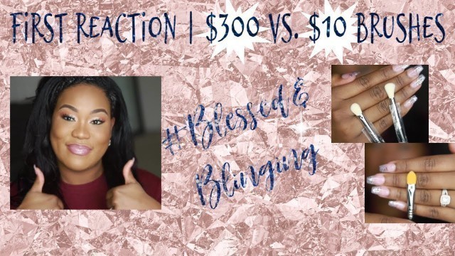 'First Reaction | $300 (Sigma Makeup Brushes)  vs. $10 (Amazon Makeup Brushes)'