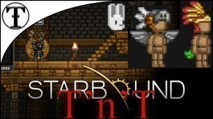 'Great Sovereign Temple Cosmetics :: Starbound Tips and Tricks'
