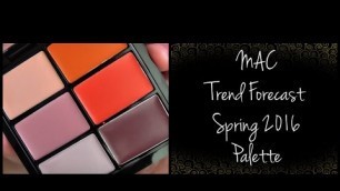 'MAC Lip Trend Forecast Spring 2016 Palette + my MAC lip palette collection'