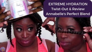 'EXTREME HYDRATION Twist Out & Review - Annabelle\'s Perfect Blend'