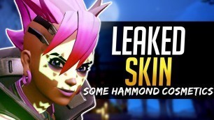 'Overwatch NEW LEAKED SKIN - New Hanzo Voiceline, Hammond Cosmetics'