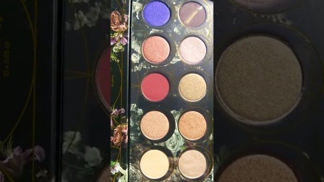 '#Opulence #EyeShadows #PALETTE #Shorts #ZOEVA'