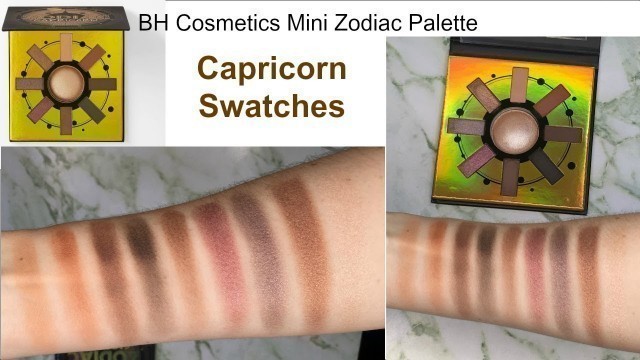 'SWATCHES BH Cosmetics Capricorn Mini Zodiac Palette!  Swatching all 9 shades from the Mini Capricorn'