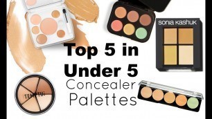 'Top 5 in Under 5: Concealer Palettes | Bailey B.'