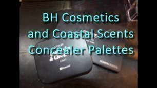 'In the Spotlight: Bh Cosmetics and Coastal Scents Concealer Palettes'