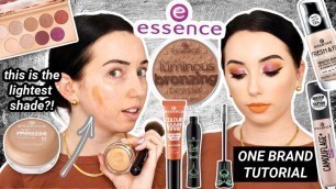 FULL FACE OF ESSENCE COSMETICS! Under $10 Affordable One Brand Tutorial