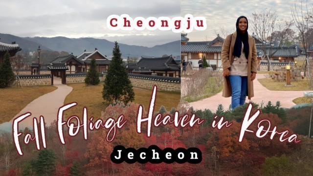 'Visiting a Brand New Korean Palace and Making Natural Cosmetics | Cheongju and Jecheon, Korea'