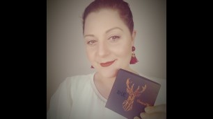 'MULAC COSMETICS DREAMS ON FIRE e VELVET INK Nuova formula:Review e comparazioni || Giulia Cova'