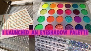 'I LAUNCHED AN EYESHADOW PALETTE | STARTING A COSMETICS LINE'