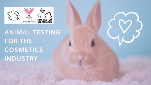 ANIMAL TESTING FOR COSMETICS - EXPLAINED