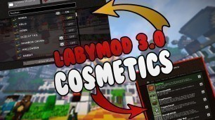 'LABYMOD 3 COSMETICS Mod + SO INSTALLIERT MAN MODS!'