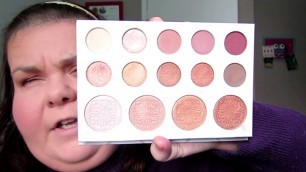 'First Impressions and Demo Carli Bybel Palette and BH Cosmetics Liquid Lipstick'