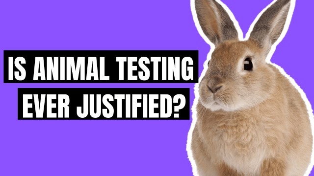 Animal Testing Pros And Cons