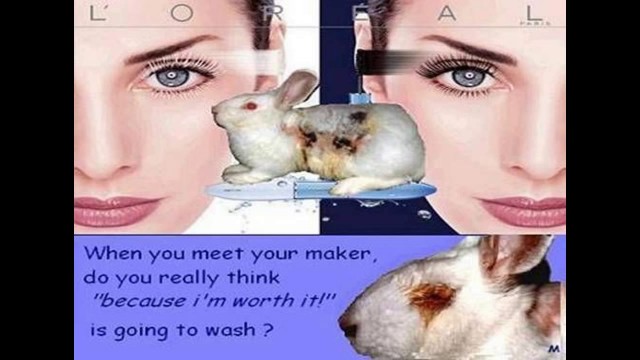 'ANIMAL EXPERIMENTS - Dogs Cats Rabbits Rats Monkey Pets 4 Cosmetics Makeup Terrorism Abuse Testing'