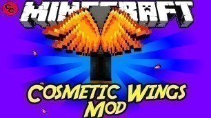 'Minecraft Mods:  \" Cosmetic Wings Mod  1. 7 .10 \"'