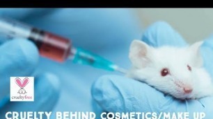 animal testing in cosmetic industry